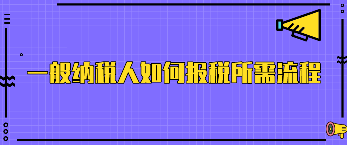 一般纳税人如何报税/